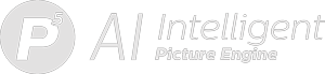 Picture Engine log&oacute;